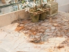 5004_Pebble_Cr_After-28