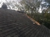 Ropiak before roof 1