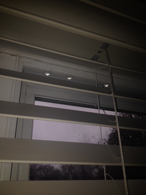 Picture taken by tenant of the top of the window leaking